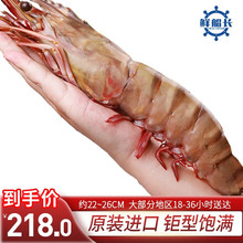 鲜船长（XCZ.XIAN.XCZ） 黑虎虾特大号老虎虾越南进口冷冻大虾 海