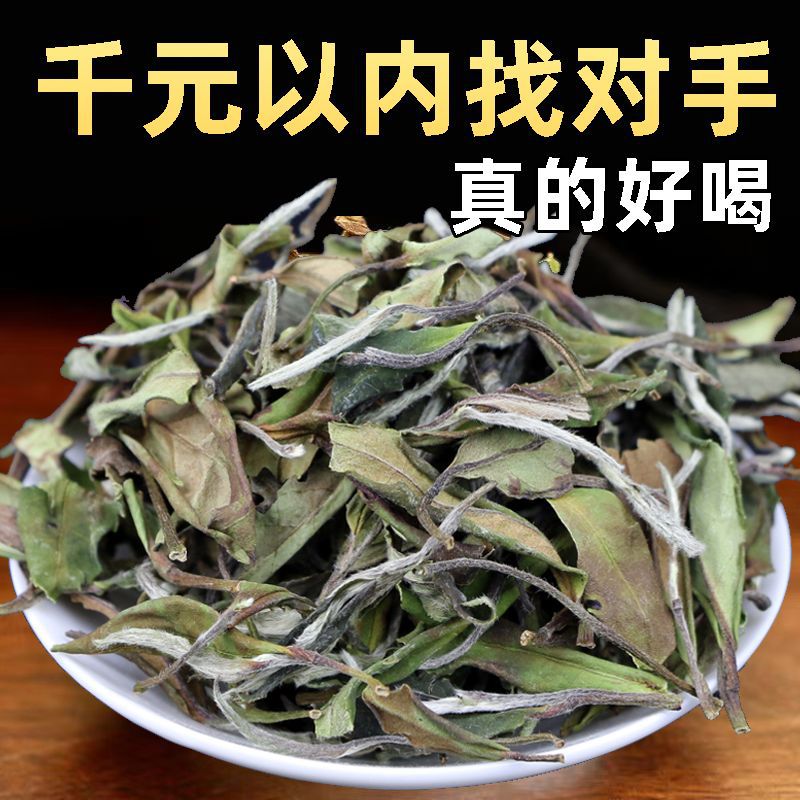 福鼎老白茶陈年贡眉寿眉枣香药香口粮工作好白茶 散装 礼盒装