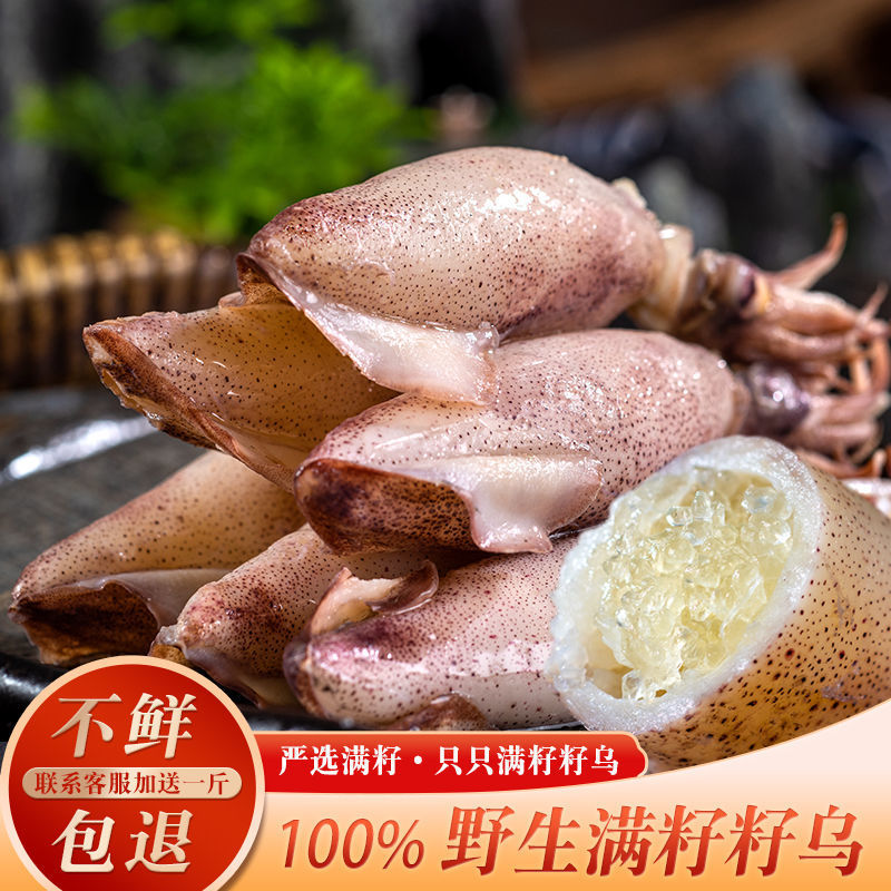 满籽海兔籽乌墨鱼仔海鲜水产鲜活冷冻笔管鱼全籽乌贼八爪鱼海兔子