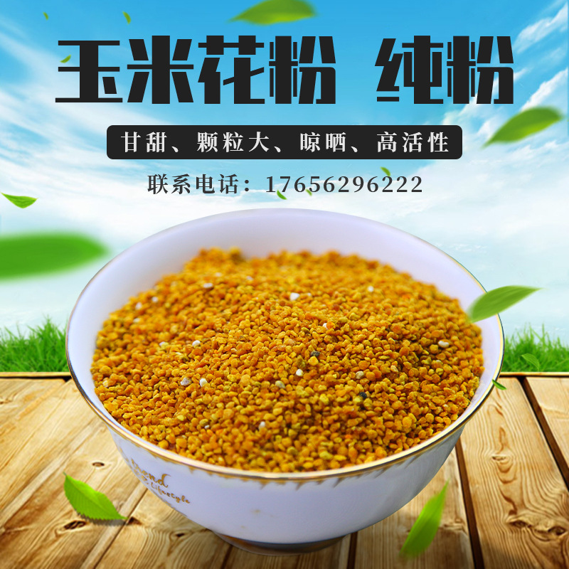 卓宇玉米粉食品级散装批发精选玉米蜂花粉高活性正品代发一斤装