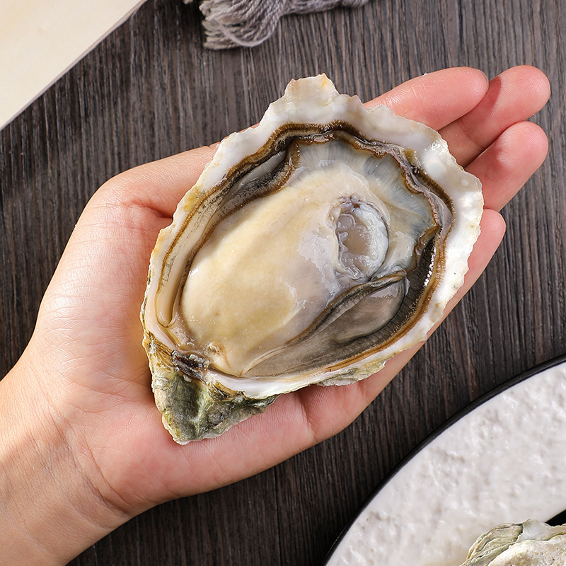 法国进口露娜金珍珠生蚝鲜活生蚝大量批发西餐厅蚝吧直供代理海鲜