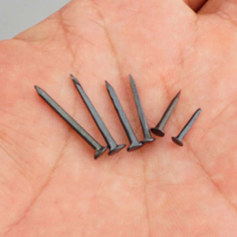 钉鞋鞋钉修木板小钉圆头臭皮钉秋皮迷你铁钉大头木工钉子补鞋小号