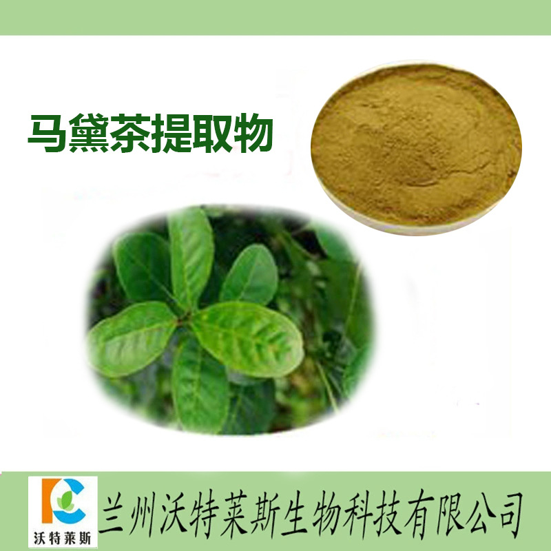 马黛茶提取物马黛茶提取液马黛茶多肽马黛茶粉