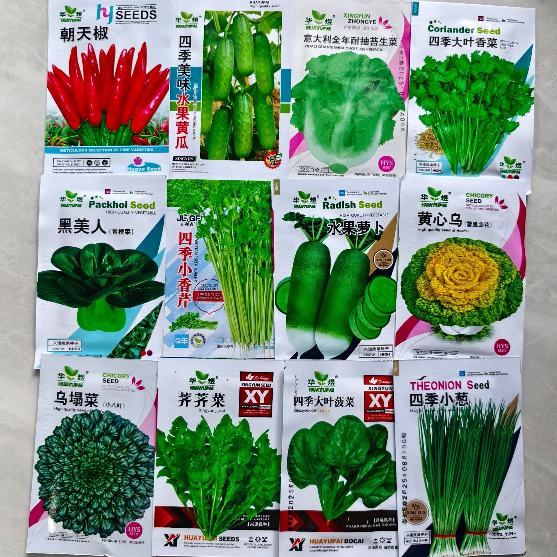 蔬菜种子菜种子大全菠菜小白菜上海青鸡毛菜家庭阳台盆栽种子香菜