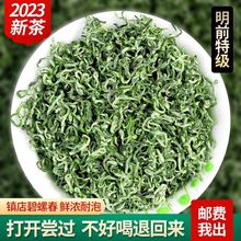 明前碧螺春2023新茶叶春茶特级嫩芽浓香高山绿茶罐装