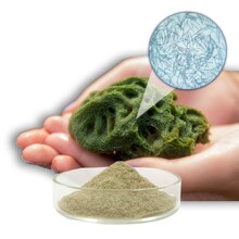 化妆品原料 海绵微针 海绵骨针 海藻微针 70% 美容院线 现货