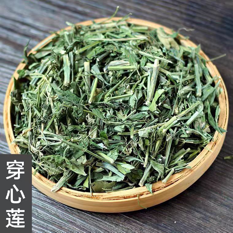 穿心莲中药材批发穿心莲 当季新货 产地货源 量大从优-阿里巴巴