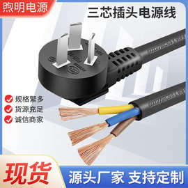 定制国标纯铜2/3芯电源线三脚插头0.75/1/1.5/2.5平方10A/16A插头