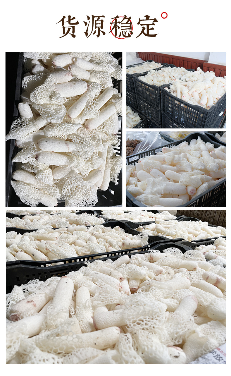 新鲜竹荪花 餐饮食用菌非干货竹荪菌新鲜竹花菌菇现货供应批发
