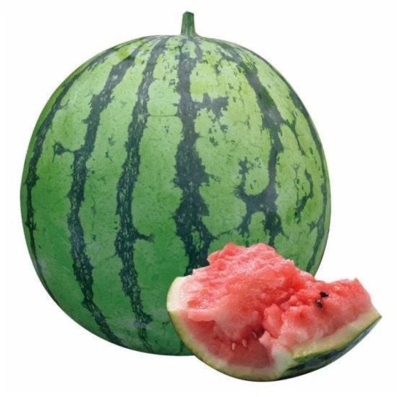 现摘现发新鲜麒麟西瓜8424冰糖应季水果超甜皮薄产地直发