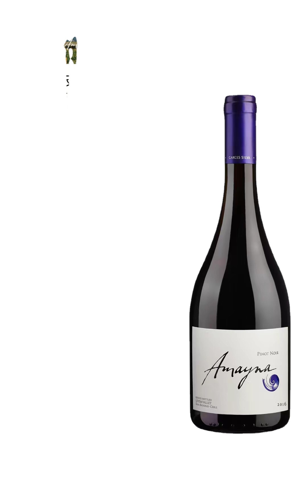 智利原瓶原装红酒 智利总统接待用酒 amayna 黑皮诺干红葡萄酒
