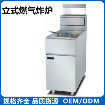 2g燃气立式炸炉3g4g油炸锅油炸机控温熄火保护单缸双缸大容量煤气