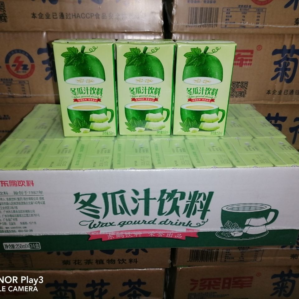 广东省内包邮东鹏冬瓜汁(冬瓜茶)饮料250mlx24盒整箱