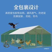 鸡笼鸽笼兔笼户外防雨养殖棚大型家用鸡舍铁丝围栏宠物笼搭建鸡棚