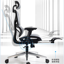 办公室办公椅联曲办公椅子靠背电脑椅人体工学椅学生宿舍凳子座椅