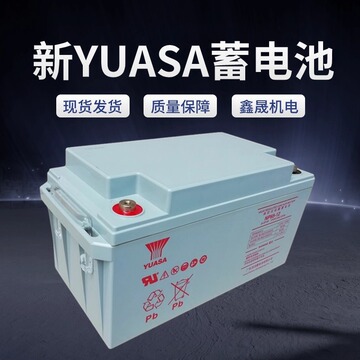 新yuasa汤浅蓄电池np65-12h汤浅12v65ah政企办公金融服务后备电