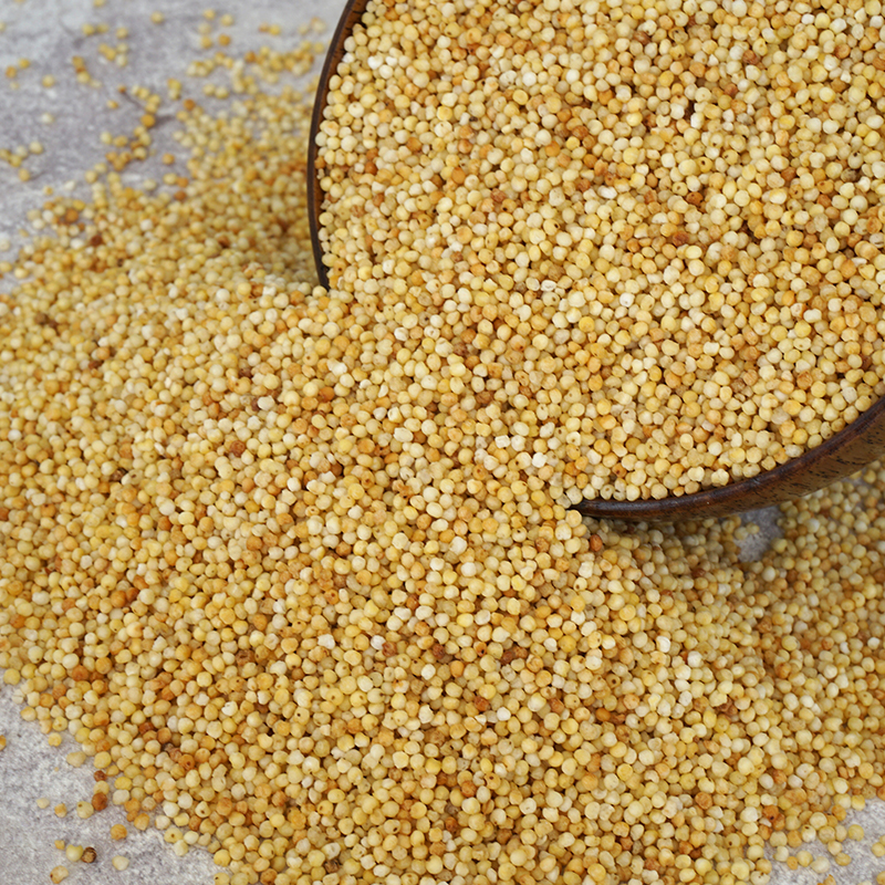 蒙海丰 炒米内蒙古糜子米 老式原味蒙古炒米 小包装 奶茶伴侣袋装