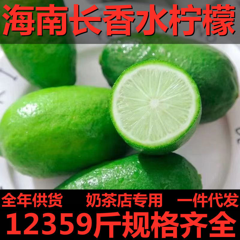 【极速发货】海南长香水柠檬12/3/5/9斤新鲜水果奶茶店无籽青整箱