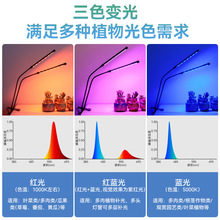 多肉补光灯植物生长灯室内绿植仿太阳全光谱上色专用usb家用led灯