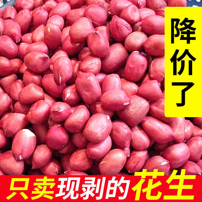 花生米生的批发东北红皮5斤红衣四粒生米特级一等品小红花生250g