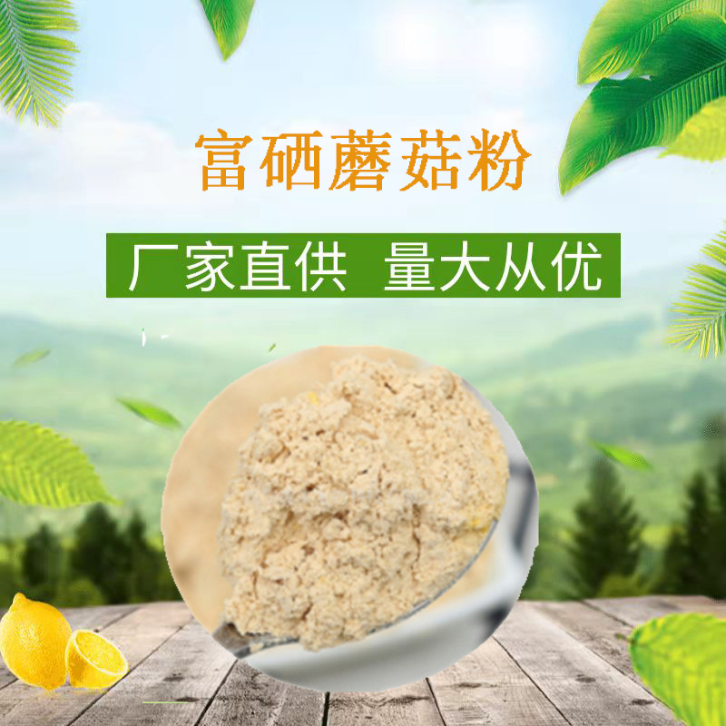 蘑菇粉 富硒蘑菇粉 富硒食用菌粉 含有机硒200微克/克 量大从优