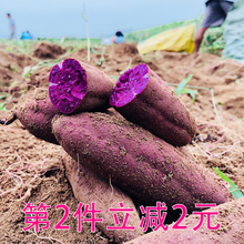 紫罗兰新鲜大紫薯地瓜农家自种紫心大紫番薯红薯五斤装包邮价现挖