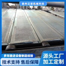 加工不锈钢碳钢翻转链板鸡粪污泥干燥机干燥箱输送带翻转厂家定制
