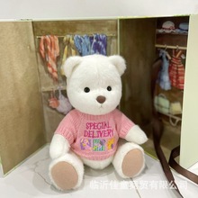30cm娃衣莉娜熊衣服中号手作teddybears泰迪小熊熊娃娃毛衣配件饰