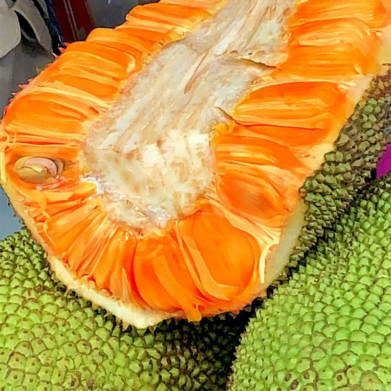 红心越南红肉菠萝蜜整箱6包邮波罗蜜斤当季新鲜水果整个一其他