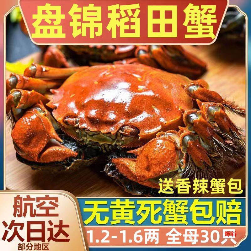 6-1.2两大闸蟹礼盒装-阿里巴巴