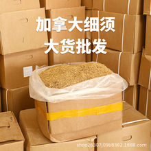 雷允上西洋参粉泡水加拿大进口正品官方旗舰店非西洋参片花旗参