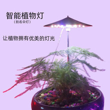 植物生长灯led多肉补光灯usb定时可调光室内植物灯伞灯亚马逊爆款