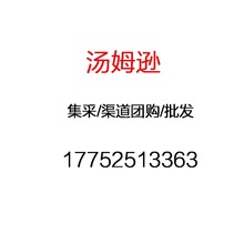 汤姆逊小家电电蒸锅 榨汁机 电煮锅 电饭煲空气炸锅 集采一件代发