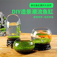 桌面微景缸绿植生态瓶创意缸玻璃瓶造景鱼缸小型家用四季水草籽