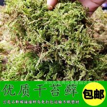 干苔藓厂家包邮水苔蝴蝶兰养兰花营养土多肉食虫植物水草乌龟冬眠