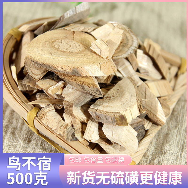 材野生鸟不落500克 鹰不泊 鸟不宿 忽木 葱木 鸟不踏 楤木-阿里巴巴