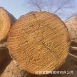 俄罗斯落叶松樟子松红皮木质紧实密度高打桩木2024新货3-6米