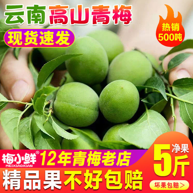 青梅果新鲜梅小鲜现摘云南深山散装生梅子泡酒生酸梅子酒酵素鲜果
