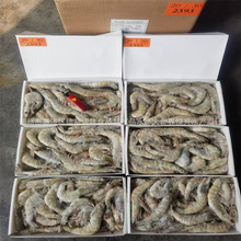 厂家直销速冻盐冻新鲜大虾对虾商用海鲜水产冷冻基围虾白对虾批发