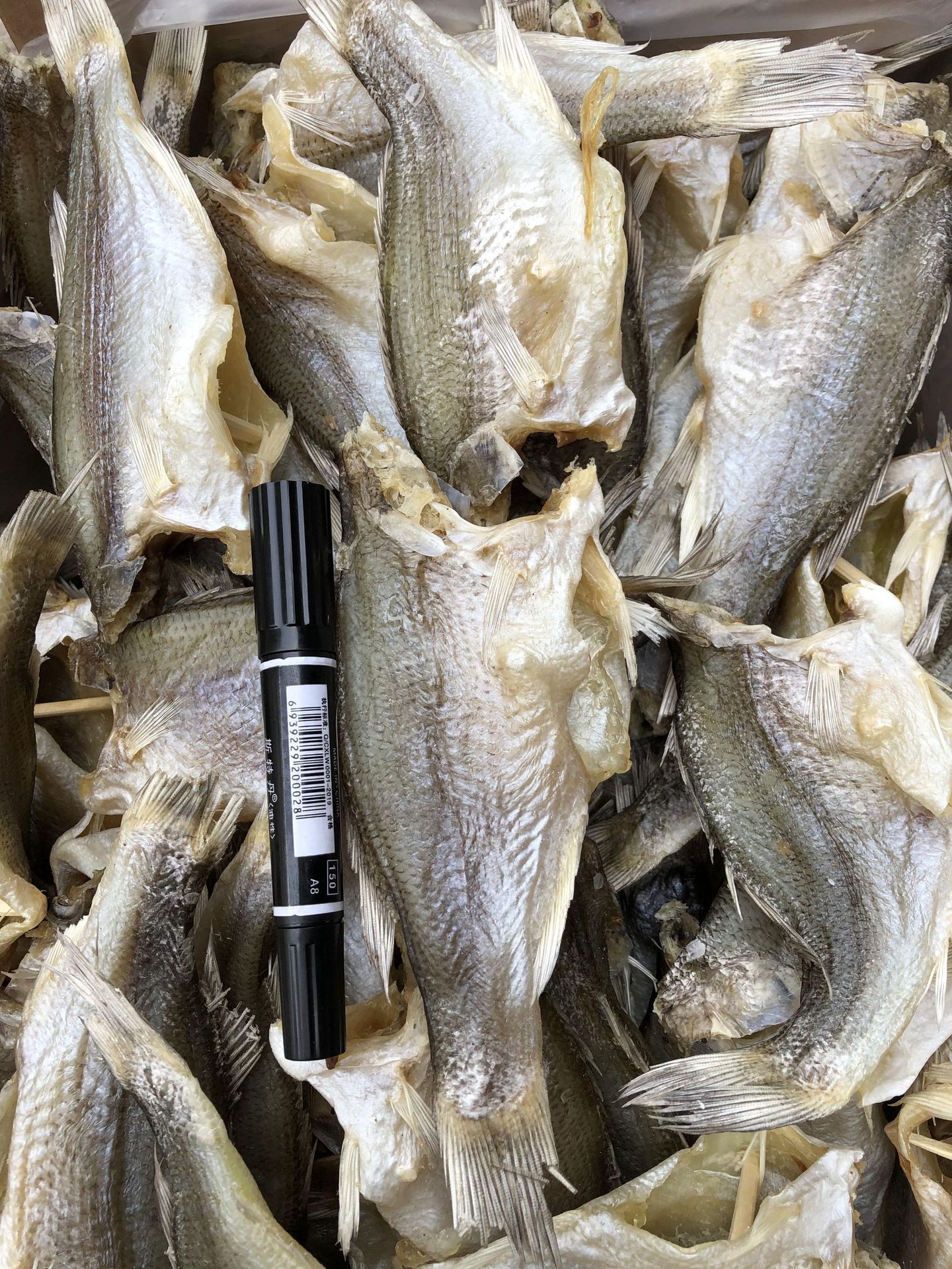 跑江湖地摊展会鲈鱼干海鲜干货海鲈鱼咸鱼干散装咸鱼干厂家批发