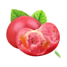 裕丰良园 普罗旺斯西红柿4.5斤 沙瓤生吃水果番茄 自然熟柿子时令