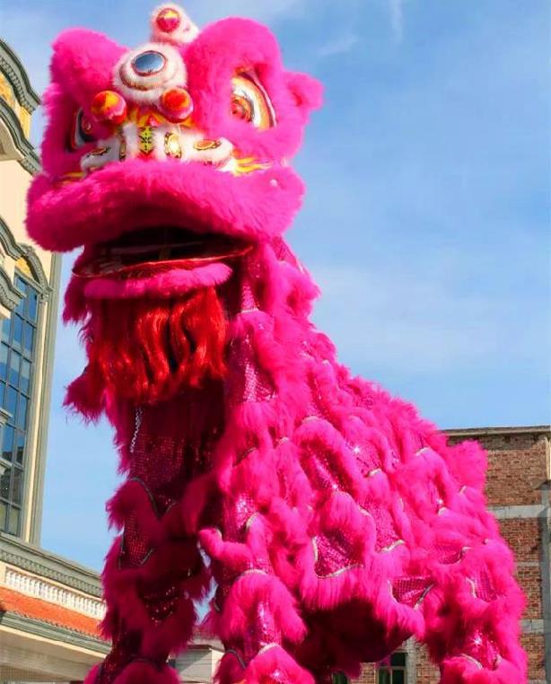 舞狮南狮道具广东标准三号成人专业演出佛山国标狮子头用品醒狮