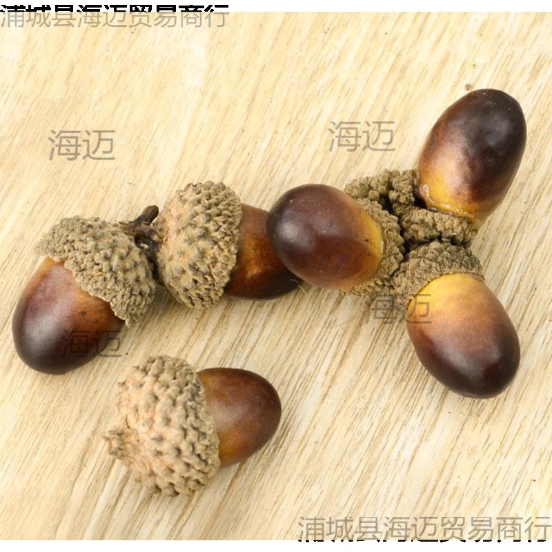 橡树作干花果子配件野生橡树手橡带帽装饰环保浆果天然diy橡树果