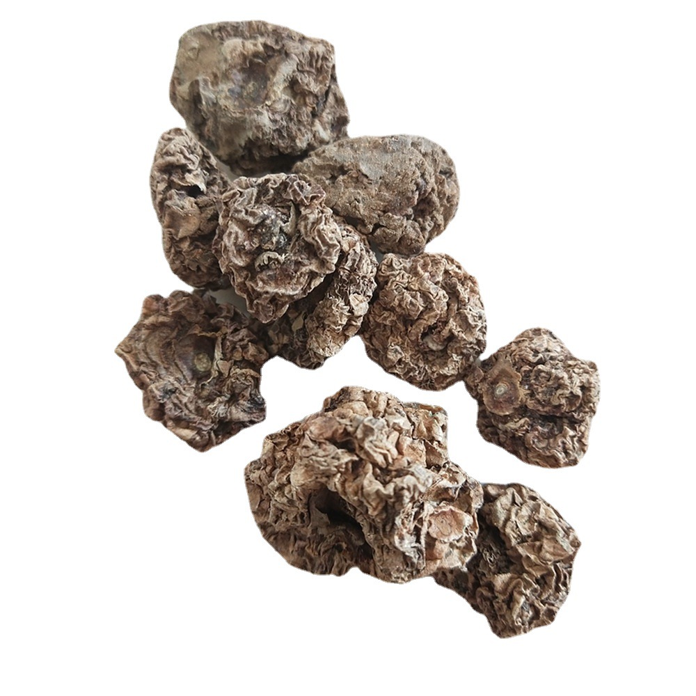 500克小猫咪木天蓼圆虫瘿果切片粉宠物然木天蓼干果子木天蓼果实