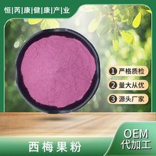 西梅果粉 食品级 现货供应  水溶99% 植物果蔬粉 SC厂家 西梅果粉