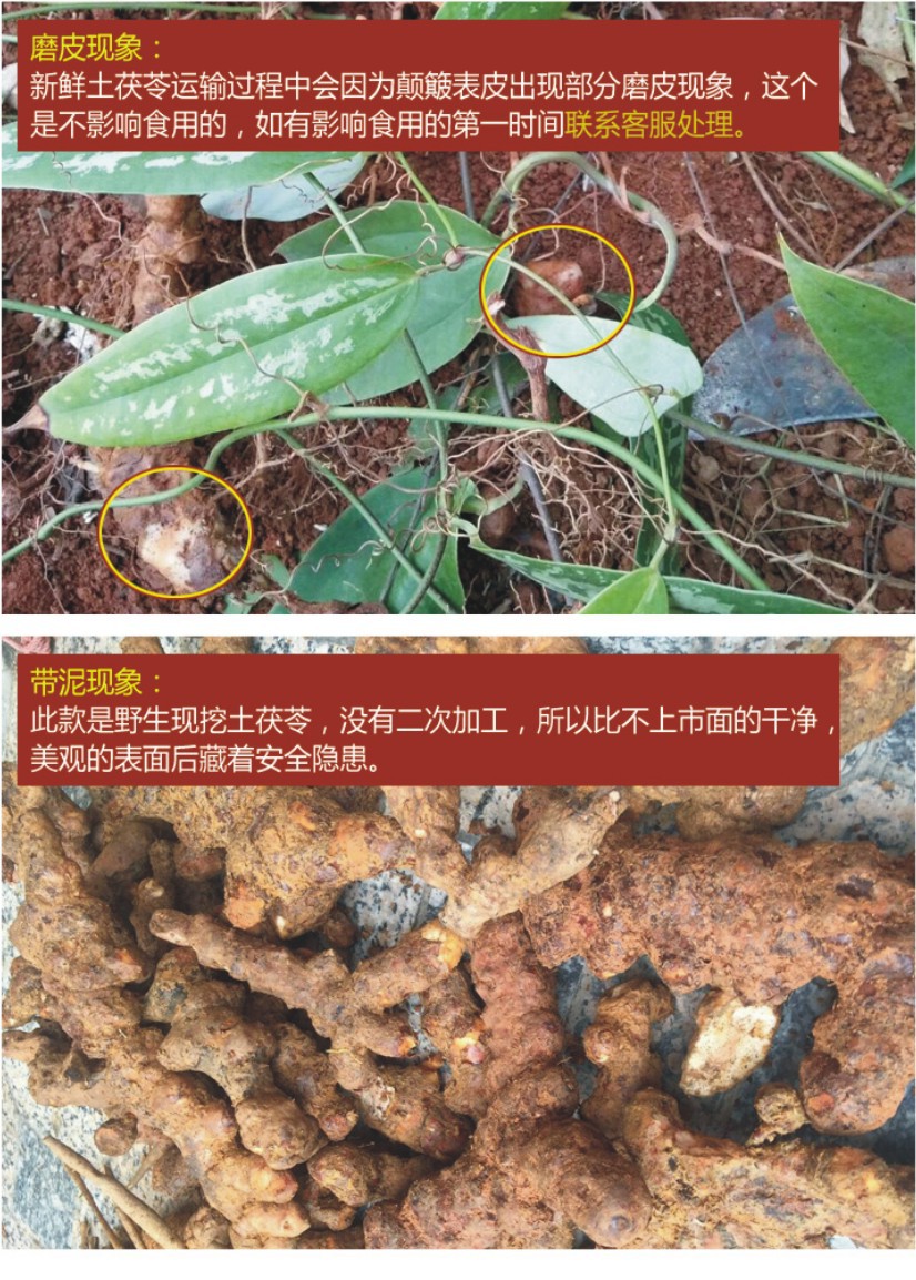 批发新鲜土茯苓云南大土农家现挖500g生鲜土茯苓硬饭头红土苓