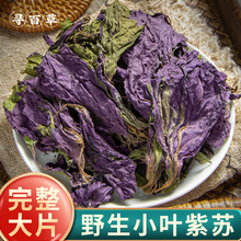 包邮野生紫苏叶材500g食用农家新货紫苏叶干苏叶泡茶紫