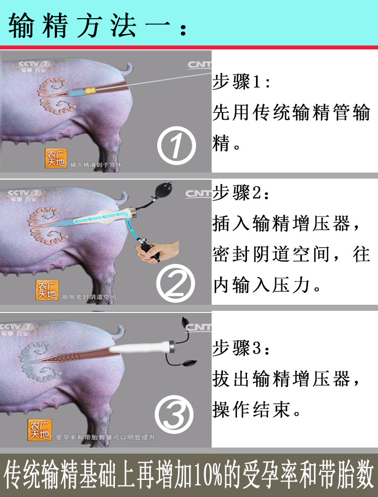 德图天目猪增压输精器加压一次性输精管人工授精猪倍特双配种器