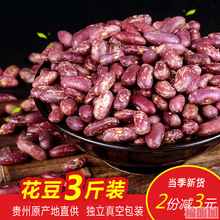23年贵州花豆3斤精选红饭豆农家花腰豆 红花芸豆四季豆红花豆杂粮