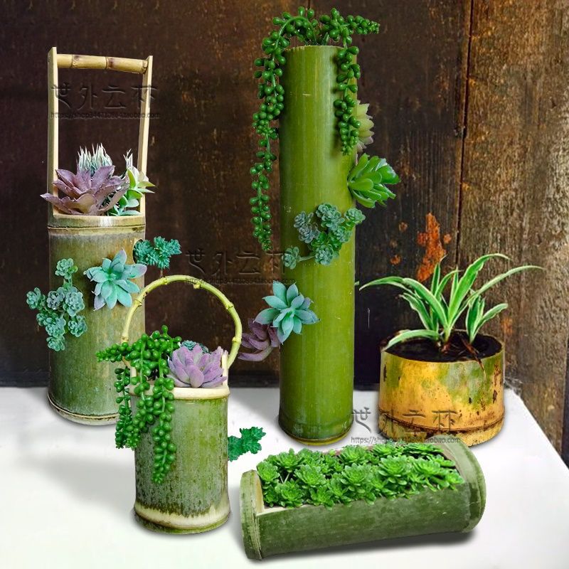 竹筒花盆种多肉绿植花草蔬菜创意吊挂壁插花桶杯器田园风家居装饰